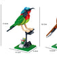 Birds Model Building Block Kit - 408 Pieces - Three Unique Birds